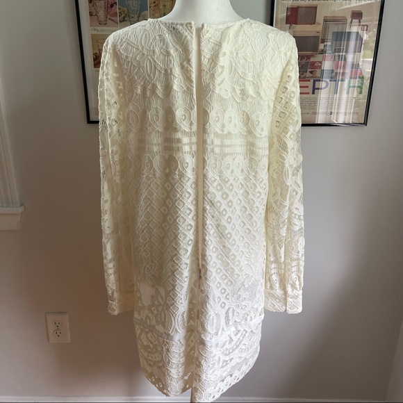 Modcloth Lace & Mesh Dress - Picture 7 of 11